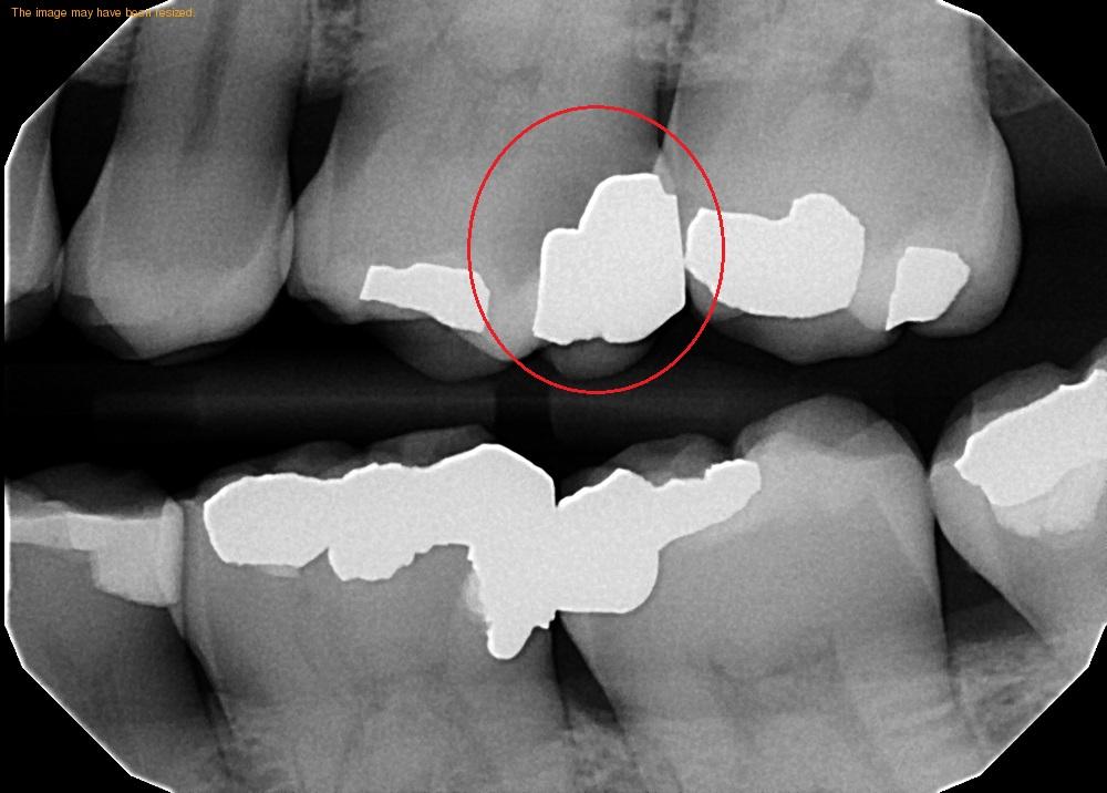 dentist ravena ny | dentist selkirk