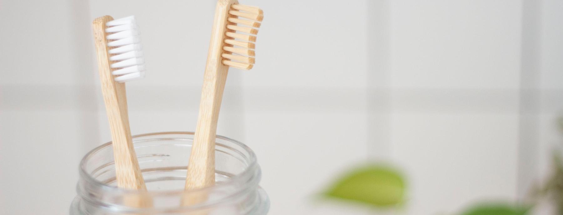 Tooth brushes on counter in Glenmont NY